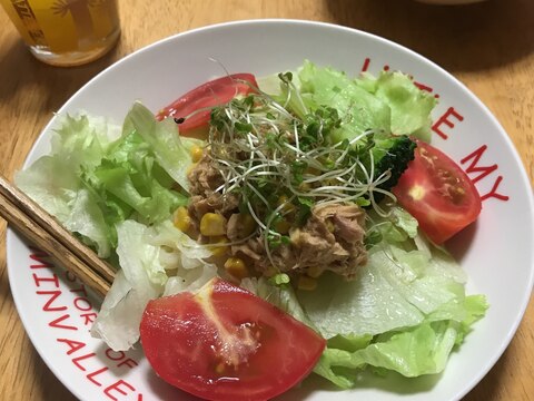 さっぱりしたい夏は❤︎サラダうどん